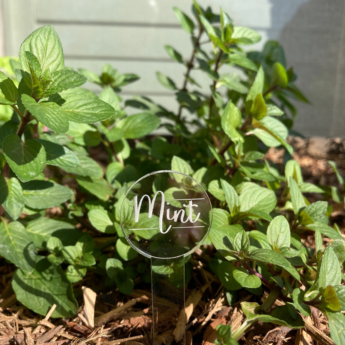 Engraved Garden Marker Set